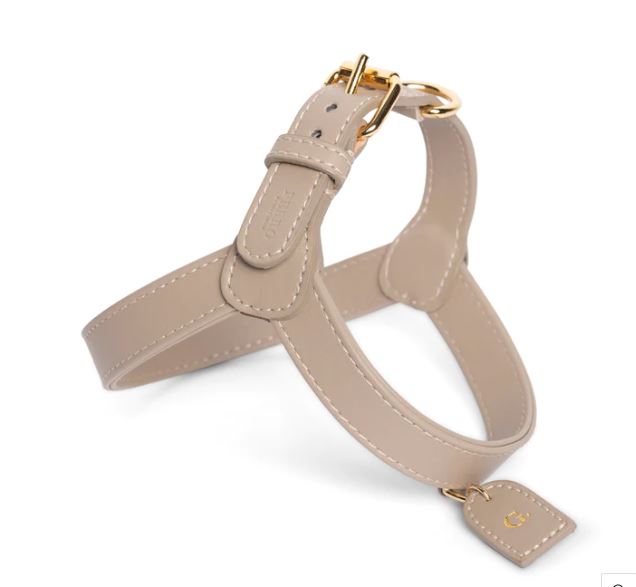 COLLAR DREAMY PURPLE 2CM